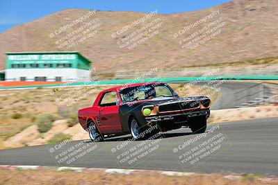 media/May-11-2025-Cobra Club (Sun) [[44ca44ec33]]/Passenger/